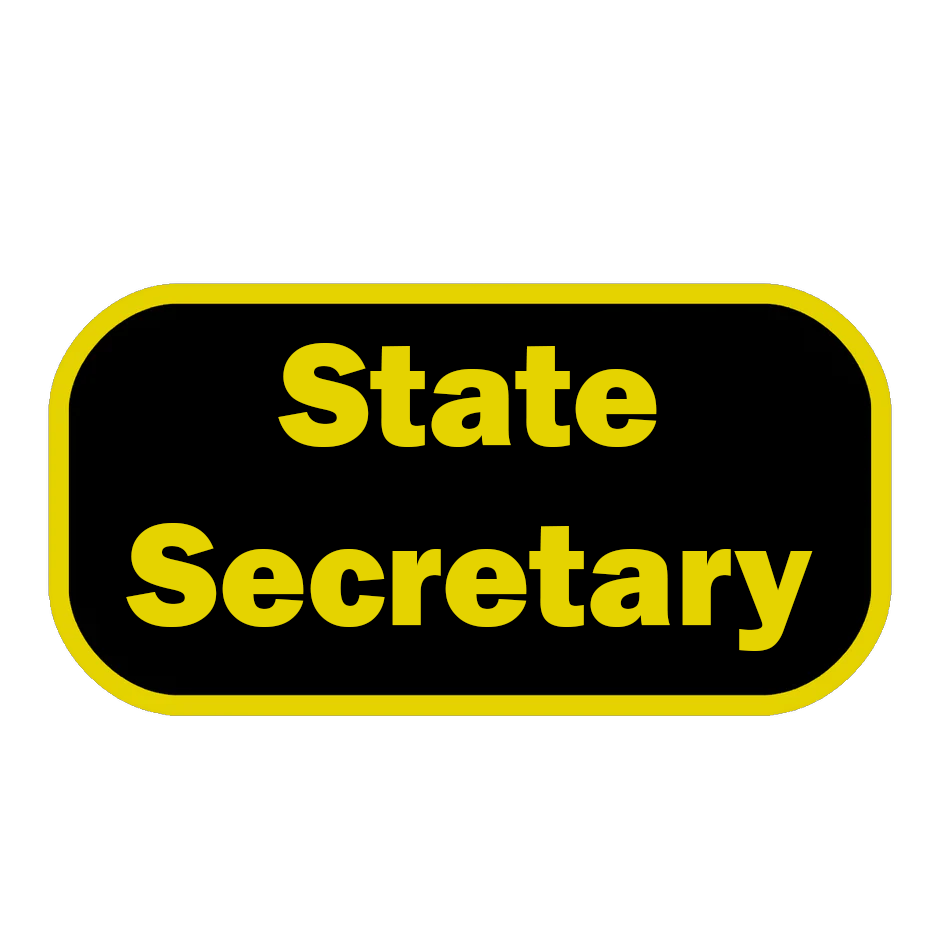State Patch, 3 Inch By 1.5 Inch